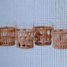 TUMBLER + NEED NATURAL SET OF 6