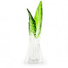 VASE FRESH H61 D21 GREEN