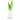 VASE FRESH H61 D21 GREEN