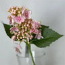 HYDRANGEA SPRAY H51 SET2 COL PINK