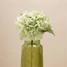HYDRANGEA SPRAY H51 SET2COL GREEN