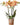ORCHIDEA PHAL.DUKE H94 S/ZOLLA
