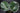 LEAF ALOCASIA H144 ST2PCS GREEN