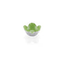 ASTER MINI BOWL PISTACHIO