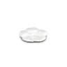 CUSTOM ASTER SNOW MINI PLATE