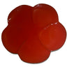 CUSTOM ASTER CORAL MINI PLATE
