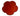CUSTOM ASTER CORAL MINI PLATE