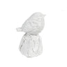 Singing sparrow white