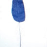 BANANA LEAF DARK BLUE