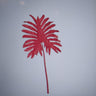 SELLOUM LEAF RED