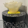 Rose Candle in Round BoxWhite/ Jasmin